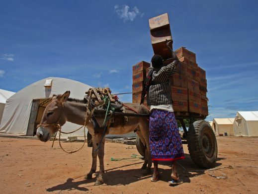 7752375974_d2d564ee97_z