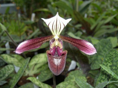 64as18emsupokfbyyqyqpciuehvzuov-nh9jnynyhmg