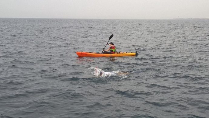 11863447_1550679208487810_7463148335420072420_n