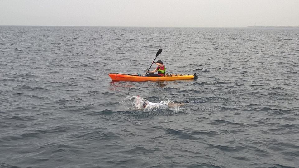 11863447_1550679208487810_7463148335420072420_n