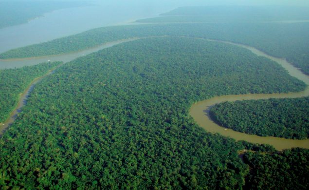 aerial_view_of_the_amazon_rainforest