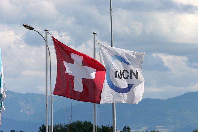 4857642444_950973d167_z