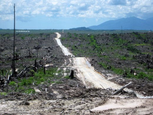 5245128274_e448f20a78_b