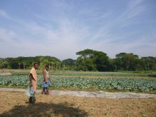 9265441993_7a75c8abb4_k