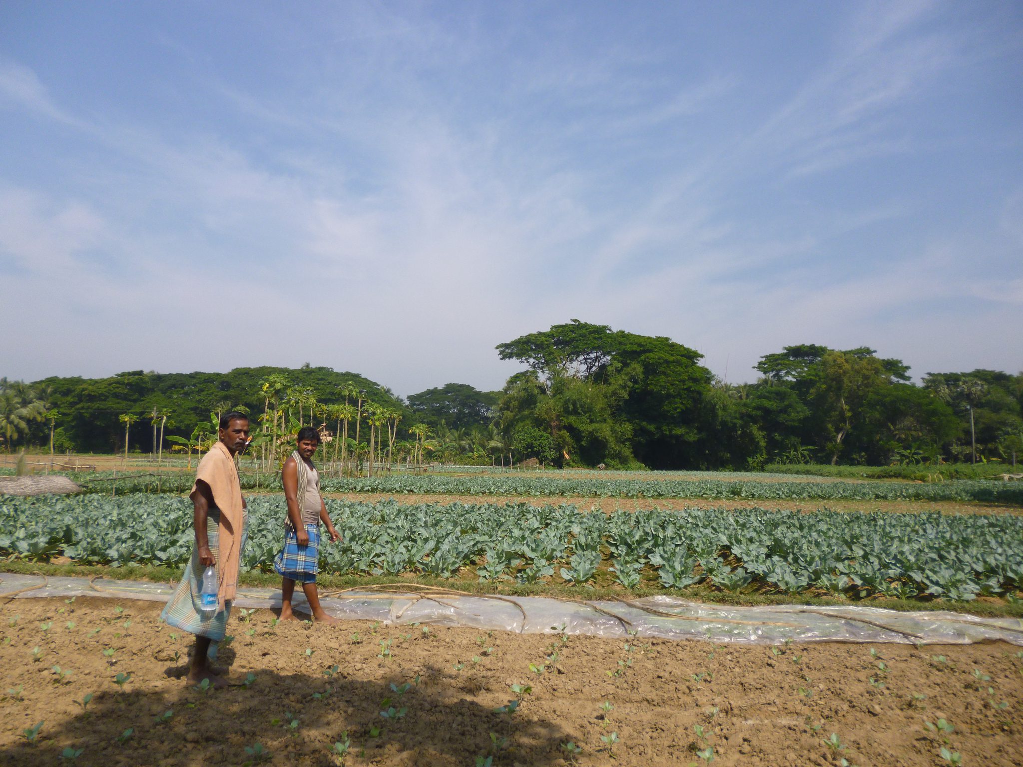 9265441993_7a75c8abb4_k