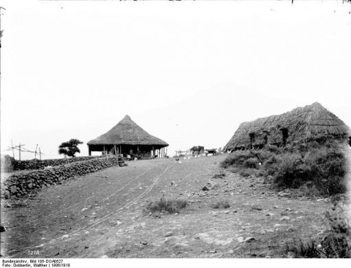 bundesarchiv_bild_105-doa0527_deutsch-ostafrika_meru_burenfarm