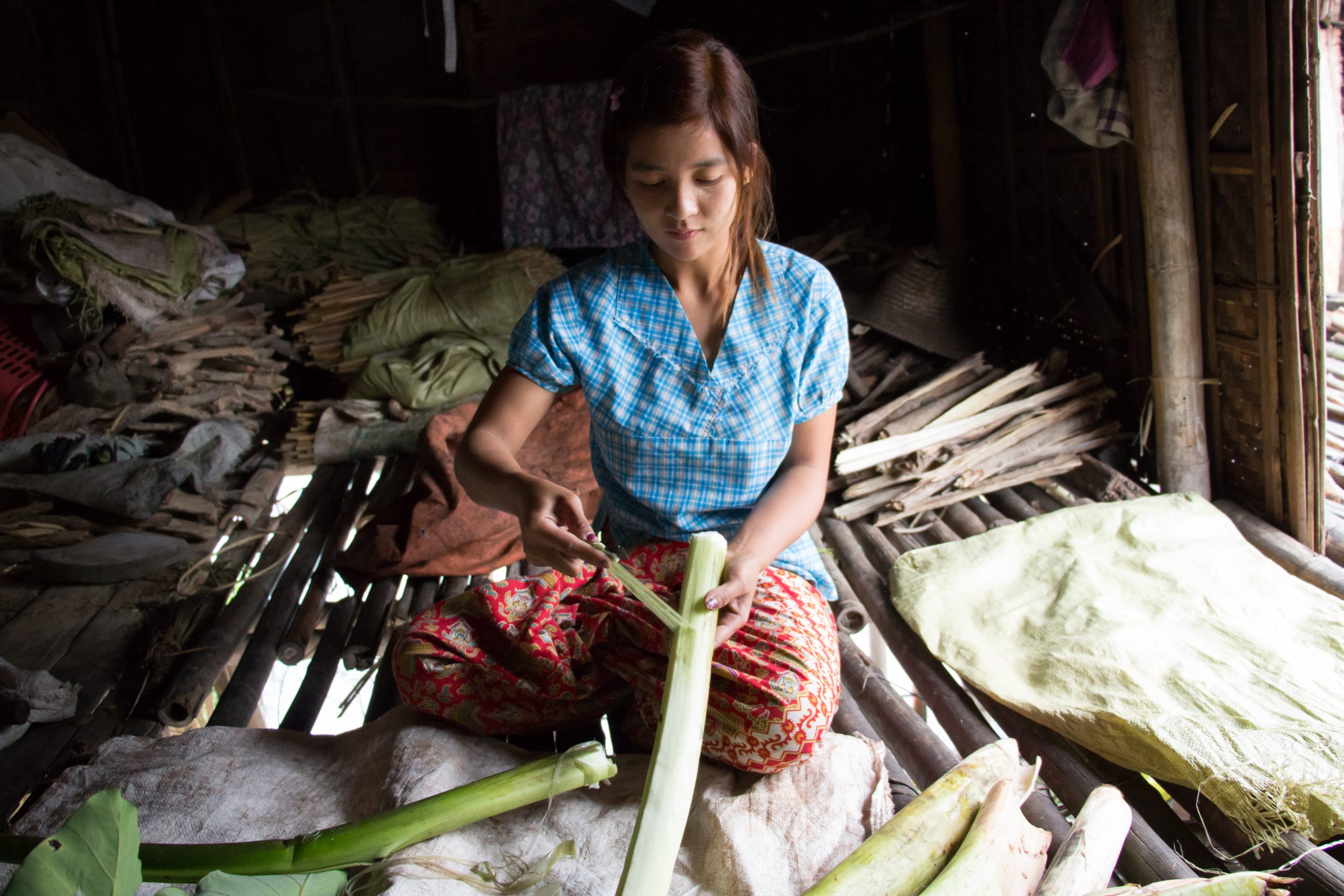 klimaforandringer_2_of_4