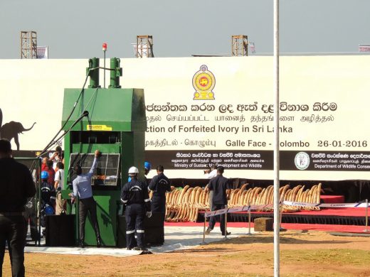 24328488440_5706181298_b