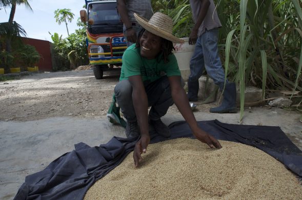 admiring_the_sorghum_harvest_in_port-au-prince