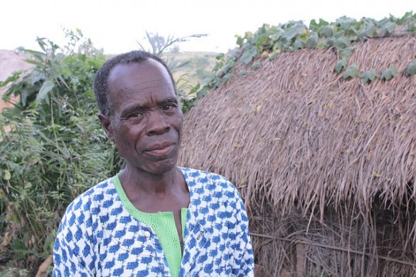 togo_24181189724_8fc3525c47_z