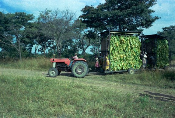 4399672906_5669a32c90_o