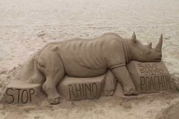 14033457438_8212fdd9f1_k