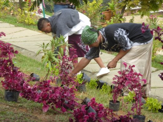 hiphip_og_havearbejde_-_billede