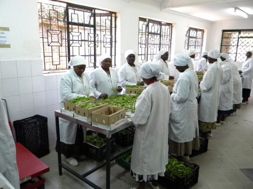 6121142342_c1ed5fdda4_o