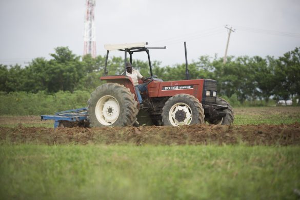 19315654290_cc2350c485_o