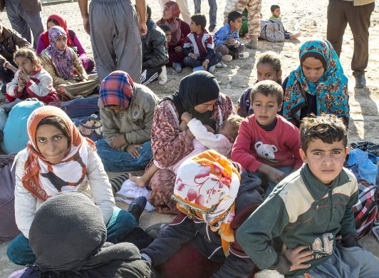 41554612-383f-466d-a71c-d26891ff9eff