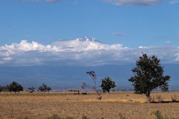 kilimanjaro