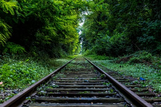 nature-forest-industry-rails