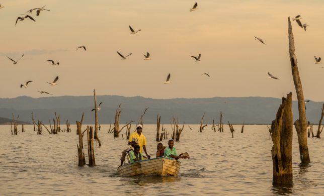 16597911268_3de8c85b87_o