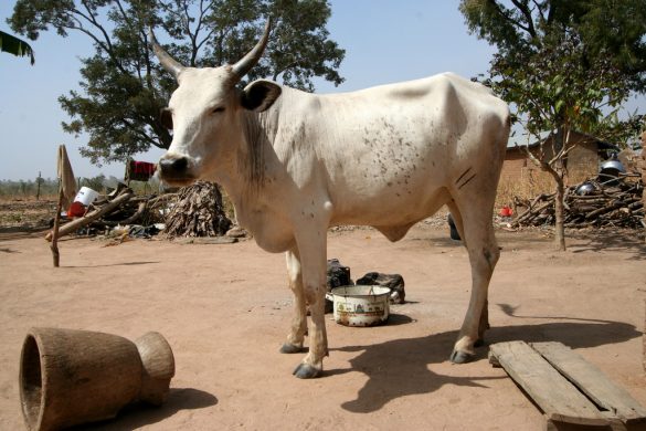 4277948963_b006753b96_b