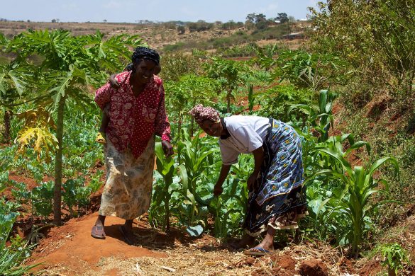 1200px-women_smallholder_farmers_in_kenya