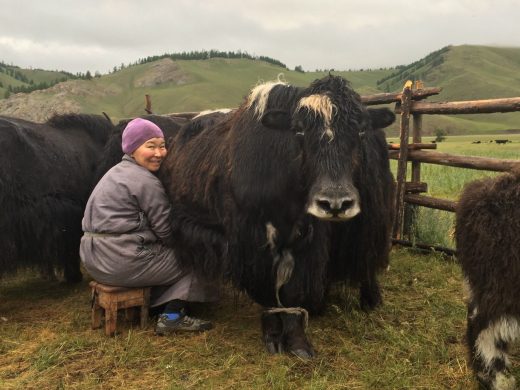 dalaimyagmar_hoj_oplosning