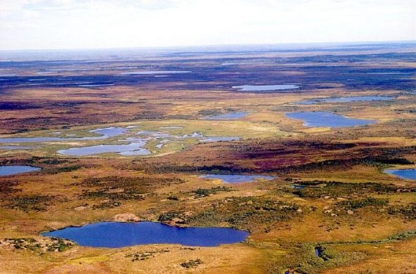 tundra_in_siberia