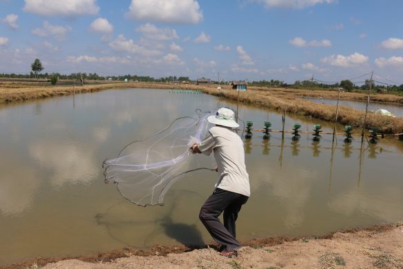 34088813305_2c2361a34b_o