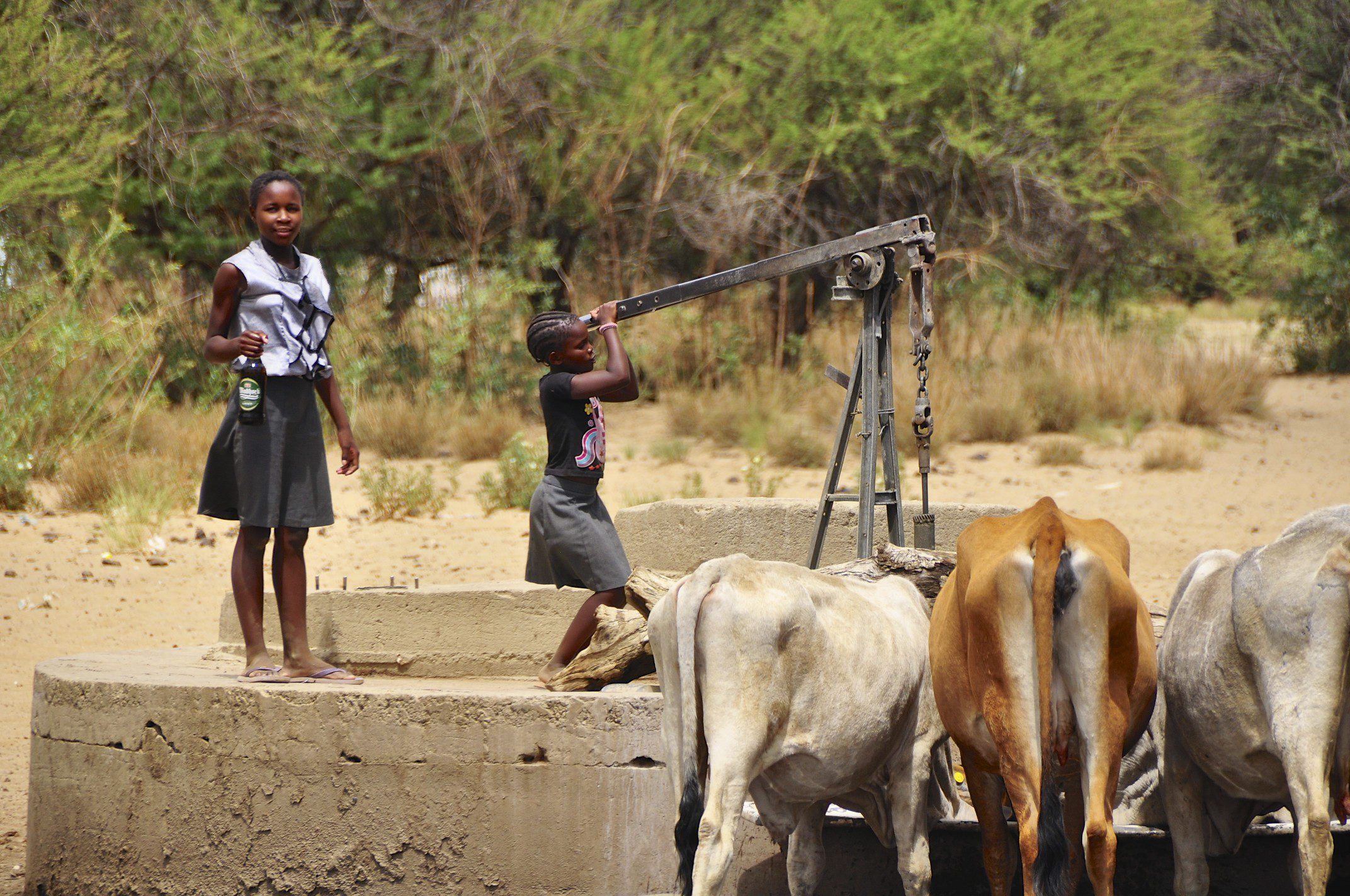 namibia-ccby-sue-kellerman