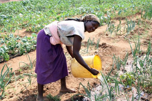 folkekirkens_noedhjaelp_bevilling