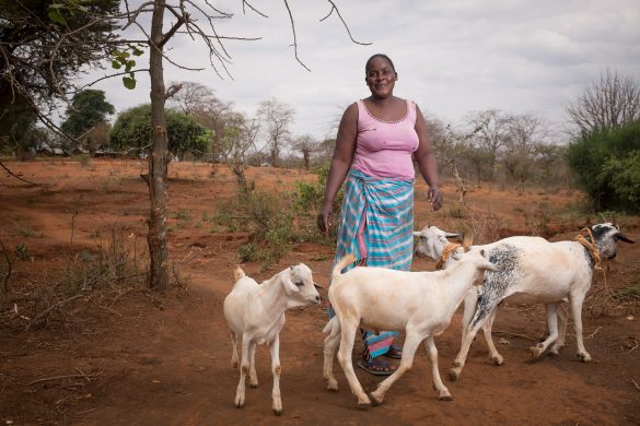 32612842375_3bd77ebb27_k