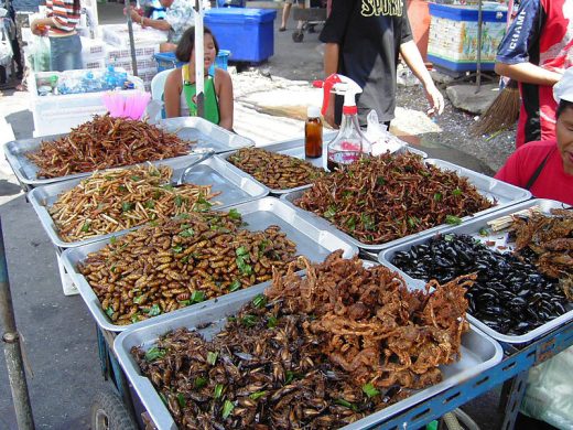 800px-insect_food_stall