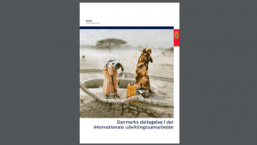 danida_arsberetning_2007