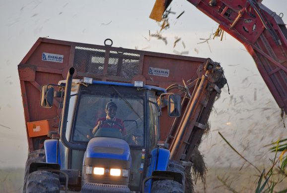 ccby-sweeter-alternative