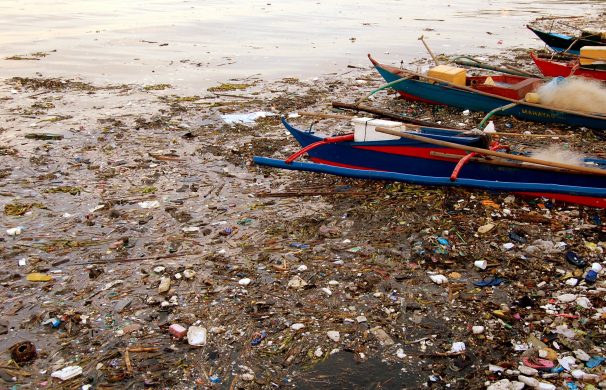 manila_bay_pasig_and_pampanga_river_basins_pollution_2008