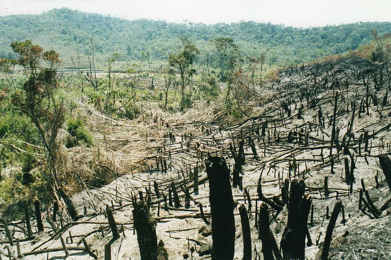 an_example_of_slash_and_burn_agriculture_shift_cultivation_madagascar