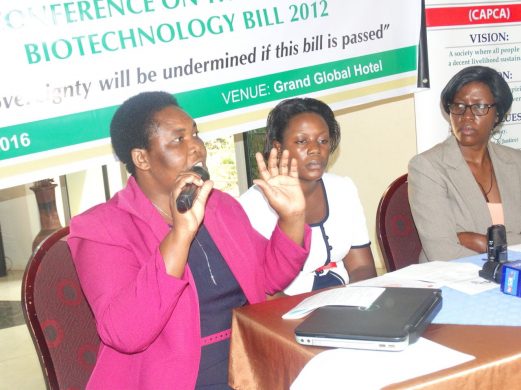 betty_rose_aguti_ufcvp