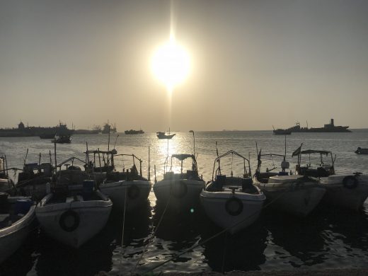 billede_31-01-2018_15