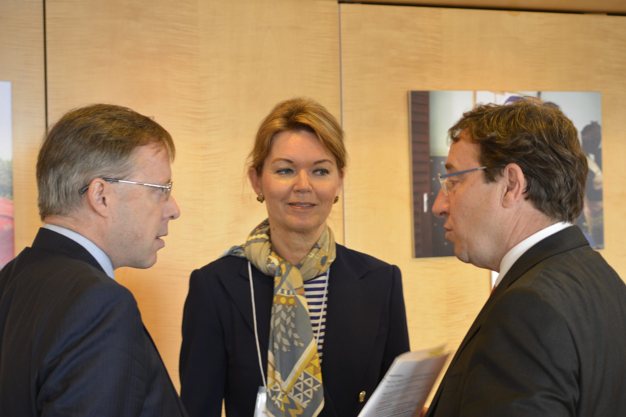 ccby-undp-lise-kingo