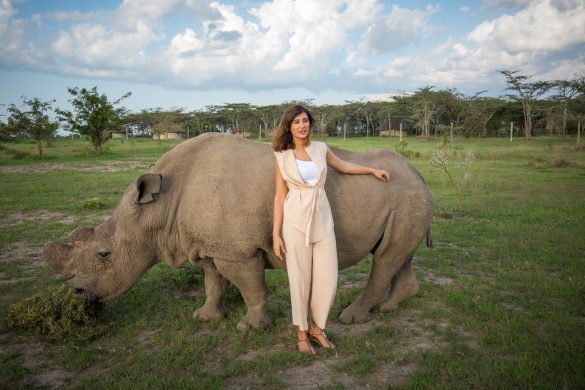 20732872720_13bd4f20ce_b