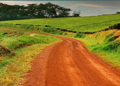 cover_adaptation-metrics_b400