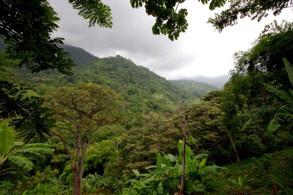 4141259236_a53d9ef372_b