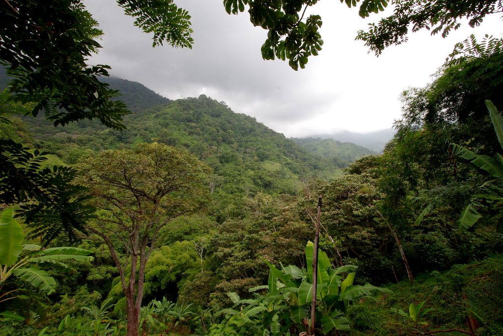 4141259236_a53d9ef372_b