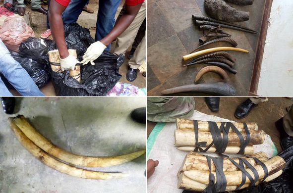 06-tanzania_sqligalleryfullscreenimage