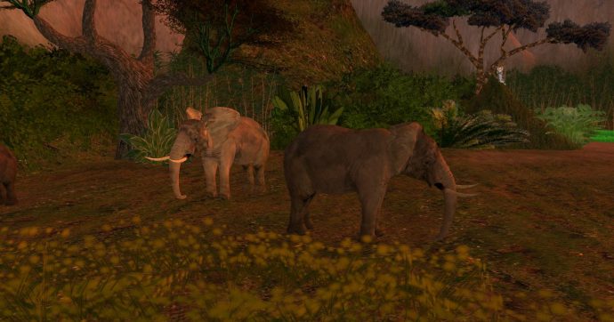 9138801367_0d7b071962_h