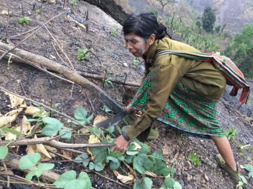 mission_oest_myanmar