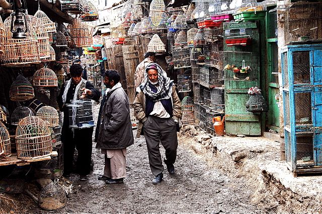640px-bird_market_kabul_ka_foroshi