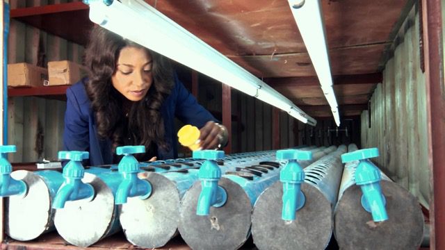 angel-adelaja_fresh_direct