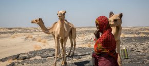 image1170x530cropped