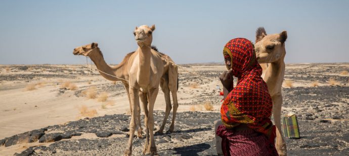 image1170x530cropped